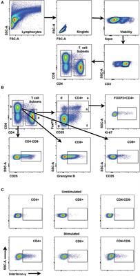 T Cell Immune Profiles of Blood and Tumor in Dogs Diagnosed With Malignant Melanoma